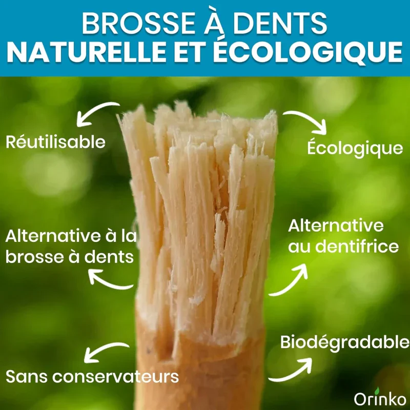 Image du produit 11