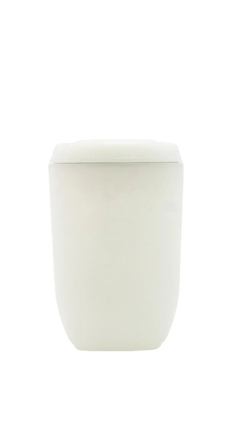 Image du produit 19